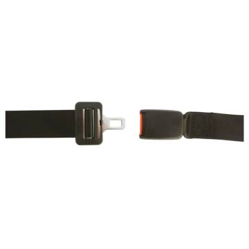 Carpoint 2-Point Safety Belt - Adjustable Black for Trucks