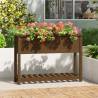 Honey Brown Planter with Shelf - Solid Pine Wood 111.5x34.5x81 cm