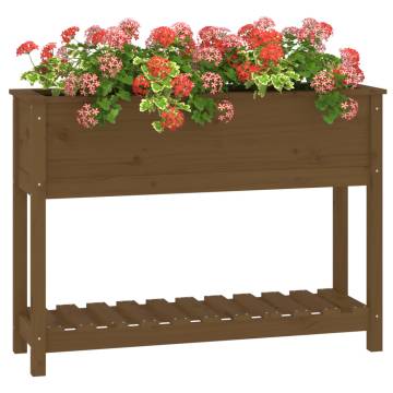 Honey Brown Planter with Shelf - Solid Pine Wood 111.5x34.5x81 cm