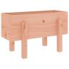 Garden Planter 62x30x38 cm | Solid Wood Douglas Planter