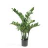 Emerald Artificial Zamioculcas 70 cm - Perfect for Home & Office