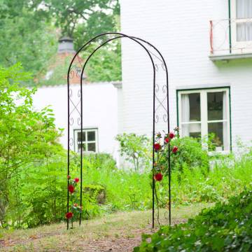 Nature Garden Arch Metal 100x37x230cm Black - Hipomarket