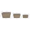 Raised Bed 3 pcs Wicker with PE Lining - Hipomarket UK