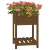 Honey Brown Planter with Shelf - Solid Pine Wood 54x54x81 cm