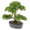 Emerald Artificial Ficus Mini Bonsai Green - 32 cm