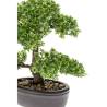 Emerald Artificial Ficus Mini Bonsai Green - 32 cm