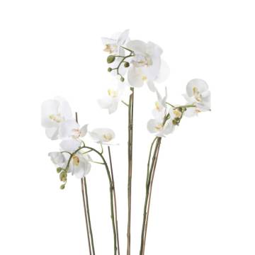 Emerald Artificial Phalaenopsis with Moss - 90 cm White