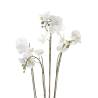 Emerald Artificial Phalaenopsis with Moss - 90 cm White