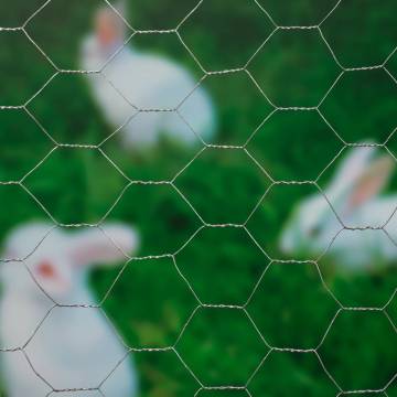 Nature Hexagonal Wire Mesh 0.5x2.5m Galvanised Steel Fencing