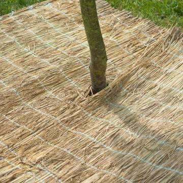 Nature Winter Protection Sheet | Rice Straw 1x1.5 m - Buy Now