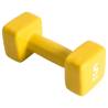 Pure2Improve 5kg Neoprene Dumbbell - Yellow for Total Body Workout