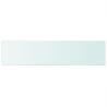 Shelf Panel Glass Clear 110x25 cm - Durable & Stylish Display