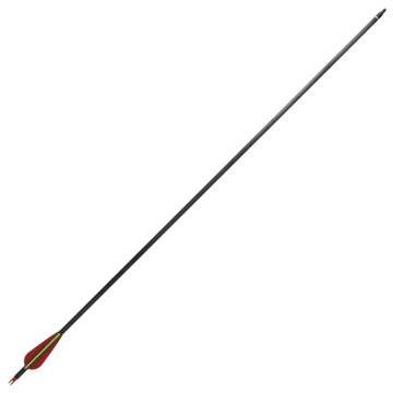 Standard Recurve Bow Arrows 30" - 12 Carbon Arrows