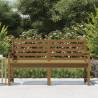 Honey Brown Garden Bench - Solid Pine Wood (159.5x48x91.5 cm)