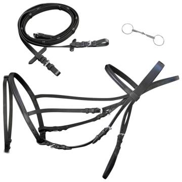 Leather Flash Bridle with Reins & Bit - Black Full | HipoMarket