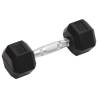 Dumbbells 2 pcs 10 kg Cast Iron - Durable & Versatile Weight Training