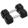 Dumbbells 2 pcs 16 kg Cast Iron Weight 2x 8 kg Number of 1 