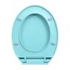 Soft-Close Green Oval Toilet Seat - Durable & Stylish