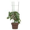 Garden Plant Supports with 3 Rings - 5 pcs Green Steel 60 cm