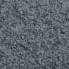 Elegant Anthracite Rug 80x150 cm - Short Pile | Hipomarket