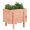 Garden Planter 62x50x57 cm - Solid Douglas Wood | HipoMarket