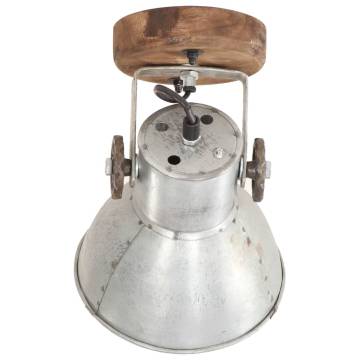 Industrial Wall/Ceiling Lamps - Set of 2 Silver 20x25 cm E27