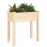 Planter with Liner - Solid Wood Fir | 71x37x76 cm