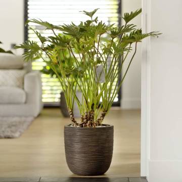 Capi Egg Planter 'Nature Rib' 43x41 cm Dark Brown - Hipomarket