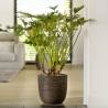 Capi Egg Planter 'Nature Rib' 43x41 cm Dark Brown - Hipomarket