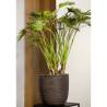 Capi Egg Planter 'Nature Rib' 43x41 cm Dark Brown - Hipomarket