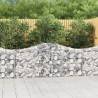 Arched Gabion Baskets 5 pcs 200x30x80/100 cm Galvanised Iron Size 200 x 30 x 80/100 cm Quantity in Package 5 