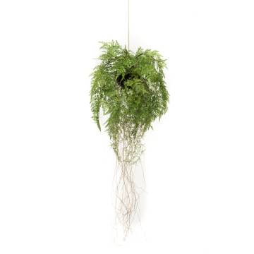 Emerald Artificial Hanging Fern with Roots - 35 cm | HipoMarket