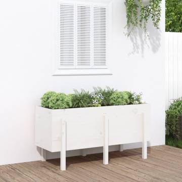 Garden Raised Bed White 121x50 cm - Solid Pine Wood