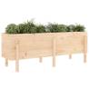 Garden Raised Bed 160x50x57 cm - Solid Pine Wood