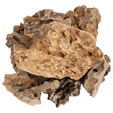 Buy Dragon Stones 10 kg - Brown 5-30 cm for Your Aquarium