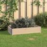 Raised Bed 50x100 cm Solid Pine Wood (310052 ) Size 50 x 100 cm Quantity in Package 1 