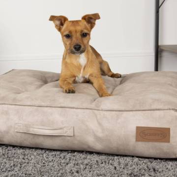 Scruffs & Tramps Dog Mattress Kensington Size M - Cream 80x60 cm