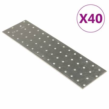 Perforated Plates 40pcs Galvanised Steel 300x80mm - Hipomarket