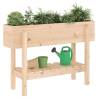 Garden Raised Bed 101x30x69 cm - Solid Pine Wood | HipoMarket