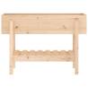 Garden Raised Bed 101x30x69 cm - Solid Pine Wood | HipoMarket