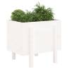 Garden Planter White 62x50x57 cm - Solid Wood Pine