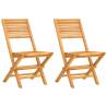 Folding Garden Chairs - 2 pcs Solid Teak Wood | HipoMarket