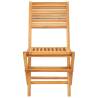 Folding Garden Chairs - 2 pcs Solid Teak Wood | HipoMarket