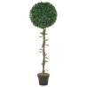 Artificial Bay Tree with Pot - 130 cm Green Decor | HipoMarket