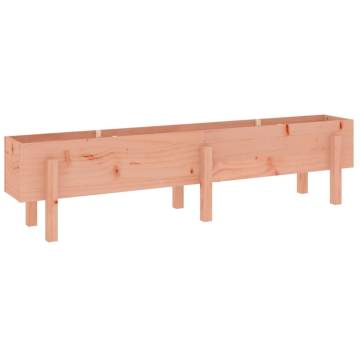 Solid Wood Douglas Garden Raised Bed 160x30x38 cm