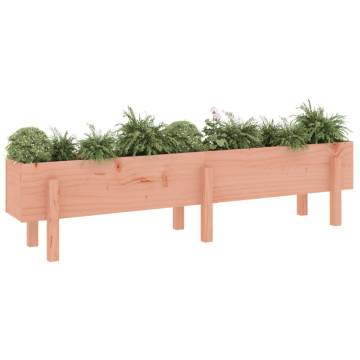 Solid Wood Douglas Garden Raised Bed 160x30x38 cm