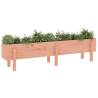 Solid Wood Douglas Garden Raised Bed 160x30x38 cm