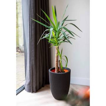 Capi Vase Elegant Groove 34x46 cm Black - Eco-Friendly Planter