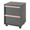 Vipack Mobile Cabinet London - 2-Drawer Anthracite Storage