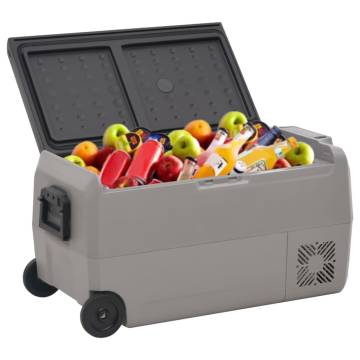 Cool Box with Wheel & Adapter - 50L Portable Cooler